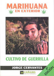 marihuanaguerrilla.jpg
